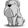 Gray Dog