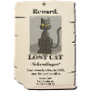 catfinal