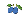 plums