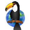 Toucan toucans t-shirt toucan pics