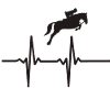 Équitation cavalier cavalier dressage