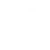 Cavalier cavalier dressage cavalier