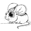 mouse