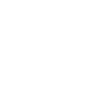 Donkey animal