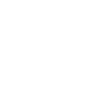 Pegasus