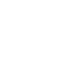 pilot
