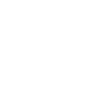Plane pilot