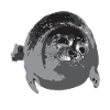 Dicke Robbe