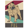 pug