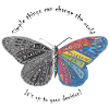 butterfly effect
