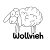 wool cattle