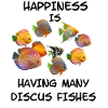 Discus Fish Aquarium