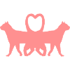 Cats love