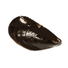 moule