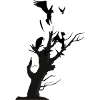 Crows