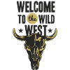 Wild West Western