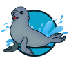 seal