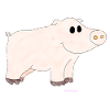 Schwein / Pig
