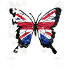 Schmetterling Union Jack