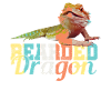 bearded dragon