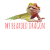 dragon barbu