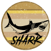 Sharks gift Haikopf Hailiebe diving