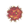 Fireball