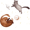 Cat cosmos planet universe