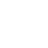 The white eagle