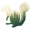 Eichhoernchen - Wald Doppelbelichtungs-Effekt