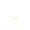 Developer