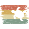 Tortue rétro