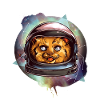 Chat de l'espace