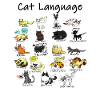 Cat Language