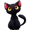 Black Cat - black cat