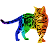 Chat arc en ciel