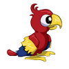 0052 2 Sweet parrot