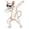 Dabbing Sphynx Cat Gift