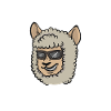 Alpaca Alpaca Squad 2