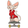 Sphynx cat skateboard skate
