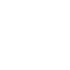 Bicycle spokes