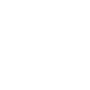 Palmier sur la plage