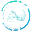 Human head X-ray image