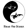 Orca