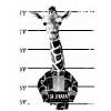 Prison giraffe cloven-hoof funny