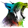 Lynx béant
