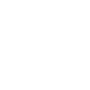 Brudi