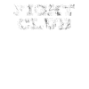 Fight Club