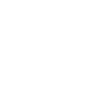 Grande rose blanche