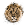 Inks lion face